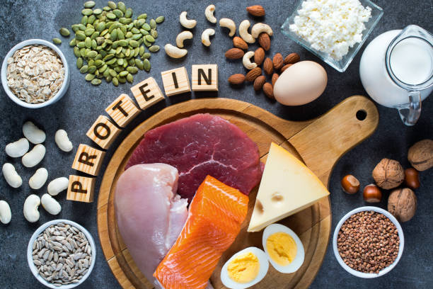 Alimentos fontes de proteína